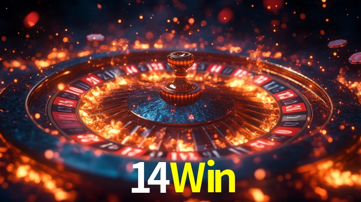 14Win App Interface